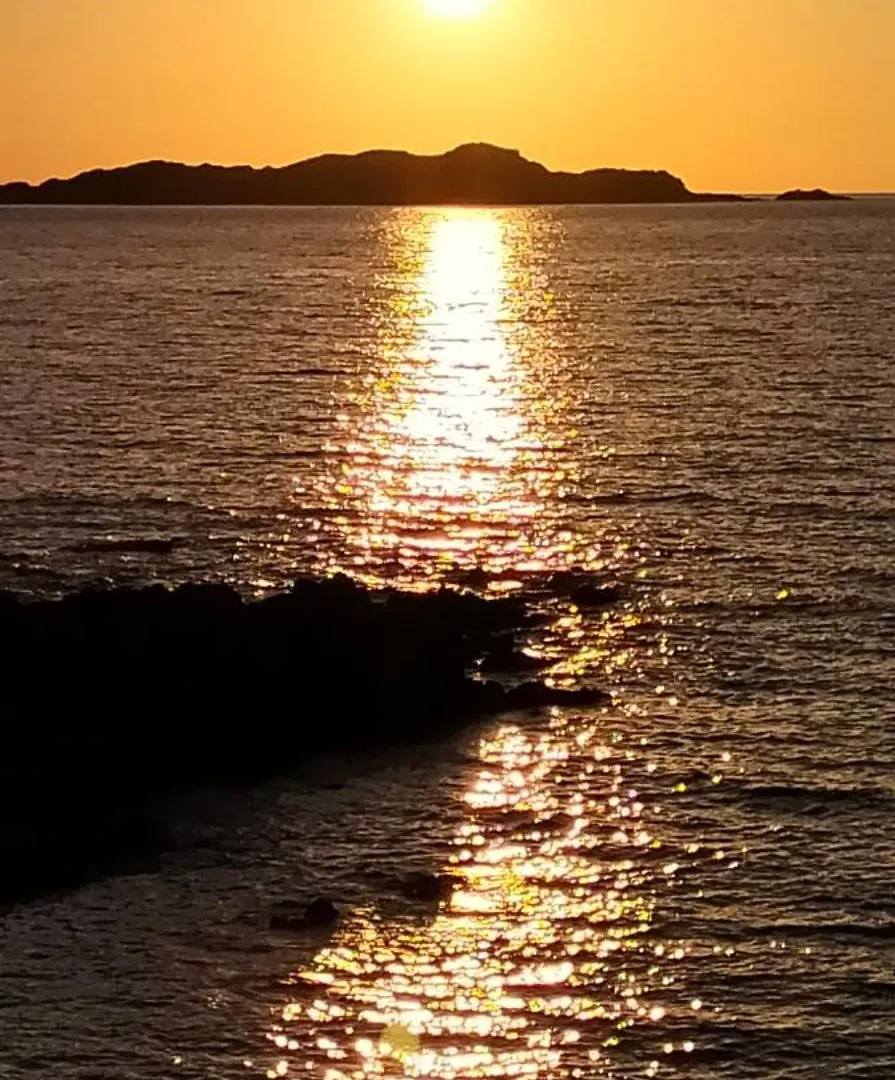 Lejlighed Appartamenti Calarossa Isola Rossa